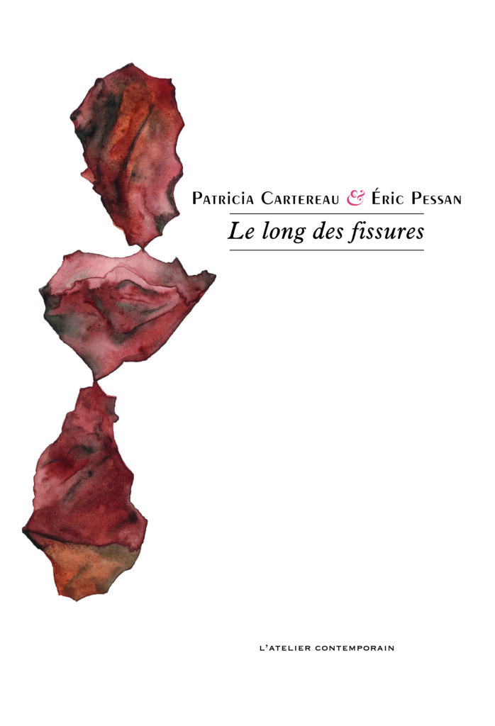 "Le long des fissures", de Patricia Cartereau et Eric Pessan, aux éditions "l’Atelier contemporain", 2023